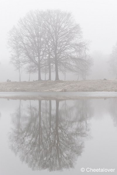 _DSC0018.JPG - Boswachterij Dorst
