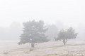 _DSC0035