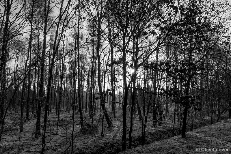 P1320745.JPG - 2017-01-15 Snertwandeling