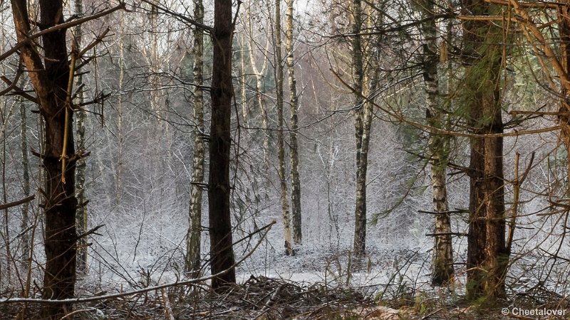 P1320748.JPG - 2017-01-15 Snertwandeling