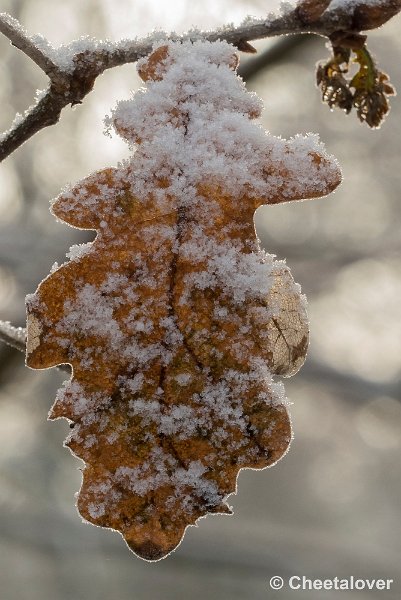 P1320752.JPG - 2017-01-15 Snertwandeling