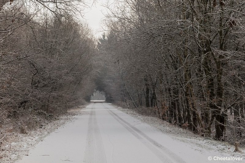 P1320753.JPG - 2017-01-15 Snertwandeling