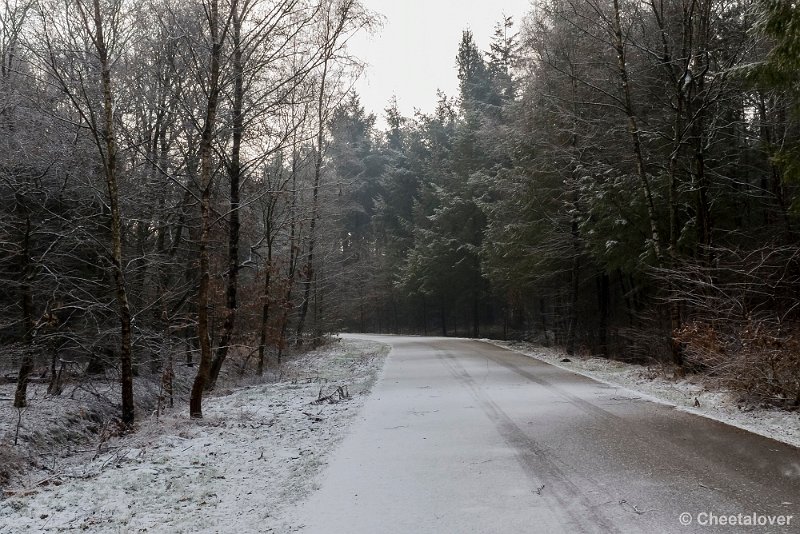 P1320762.JPG - 2017-01-15 Snertwandeling