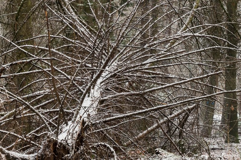 P1320769.JPG - 2017-01-15 Snertwandeling