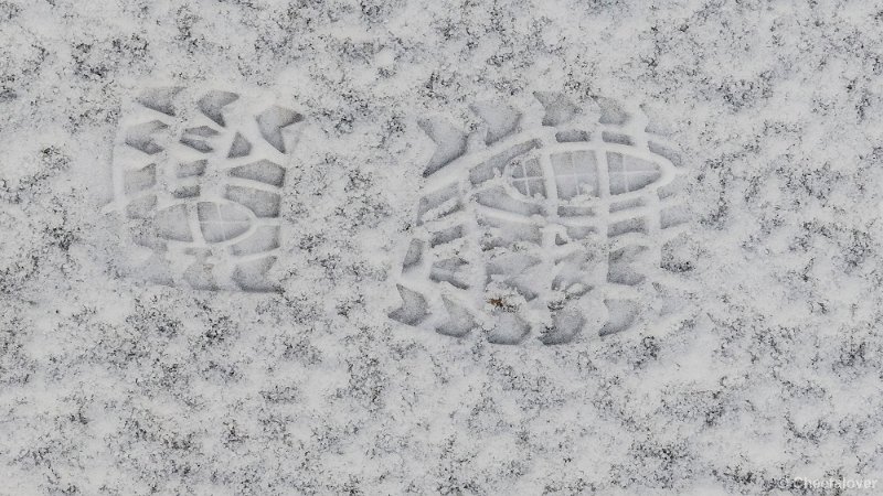 P1320773.JPG - 2017-01-15 Snertwandeling