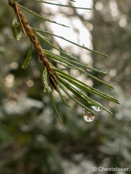 P1320784.JPG - 2017-01-15 Snertwandeling