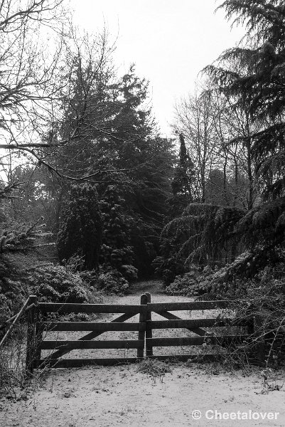 P1320787.JPG - 2017-01-15 Snertwandeling
