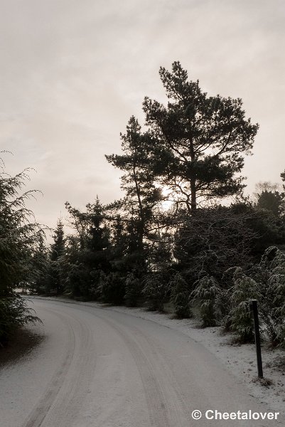 P1320790.JPG - 2017-01-15 Snertwandeling