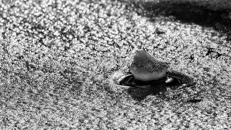 _DSC0161.JPG - 2017-01-28 IJspret in Gaiazoo