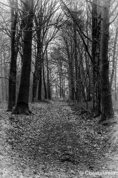 P1330011kopie.JPG - 2017-02-19 Kasteeltje van Cranendonck en omgeving