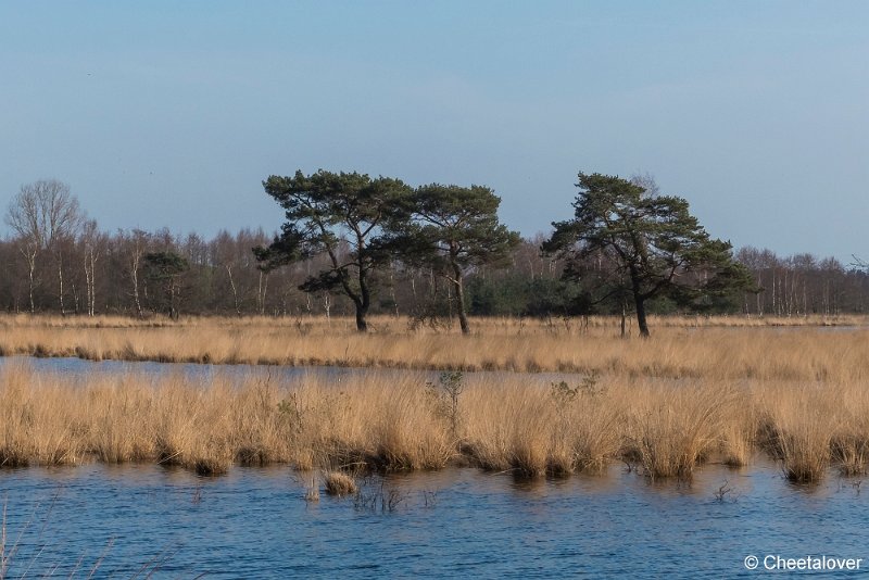 P1330210.JPG - Huis ter Heide