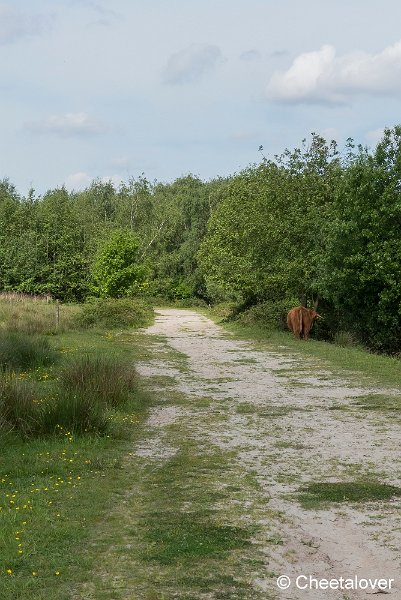 P1330858.JPG - Huis ter Heide
