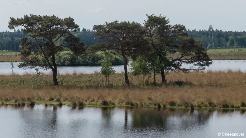 P1330885.JPG - Huis ter Heide