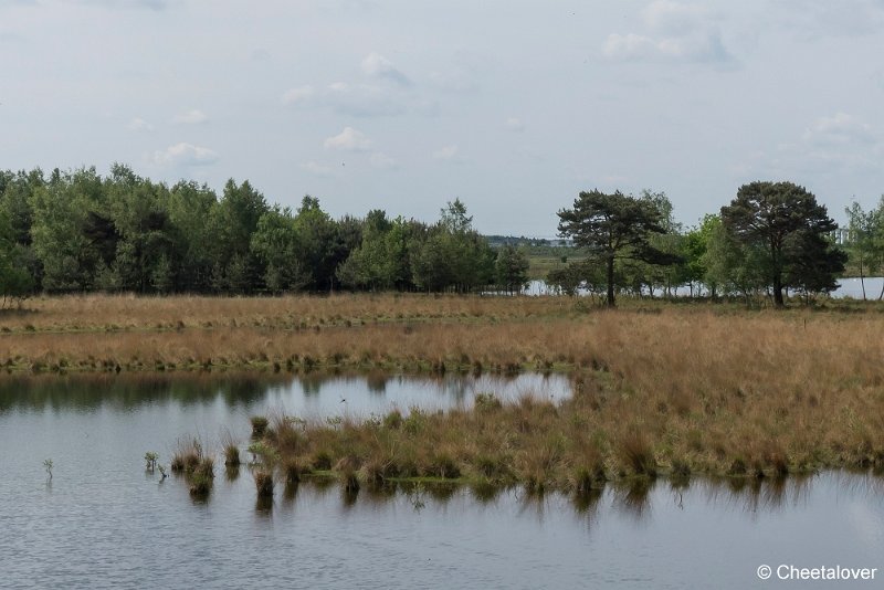 P1330888.JPG - Huis ter Heide