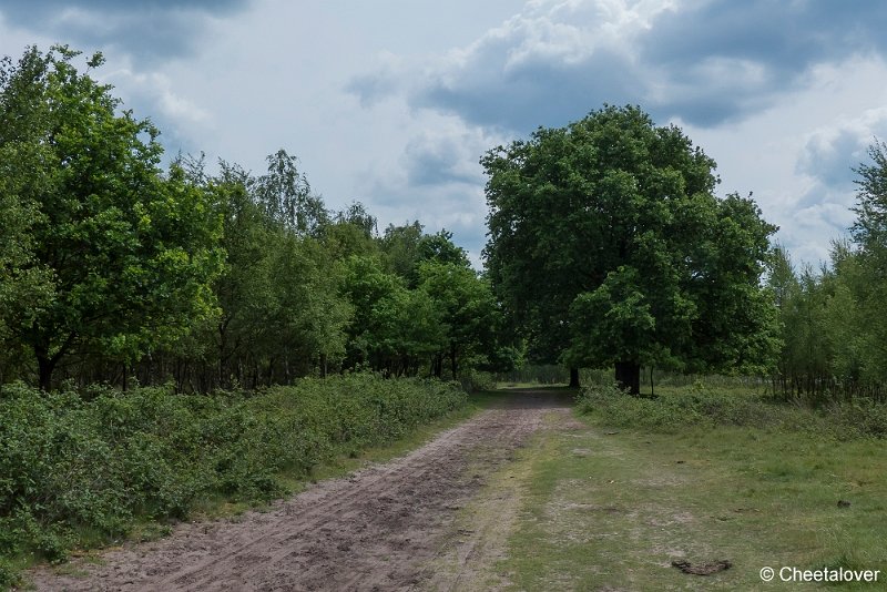 P1330920.JPG - Huis ter Heide