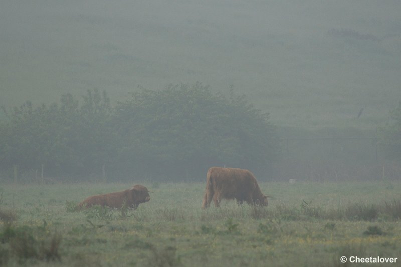 _DSC0011.JPG - 2017-05-25 Huis ter Heide