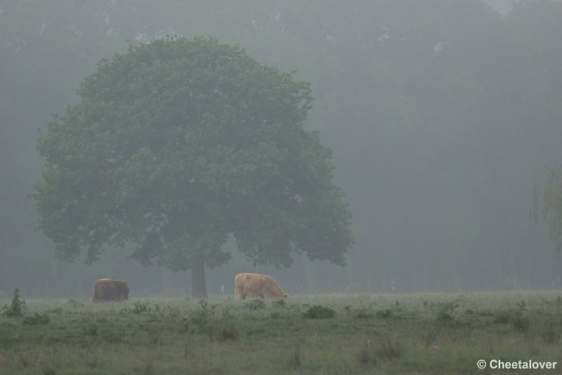 _DSC0017.JPG - 2017-05-25 Huis ter Heide