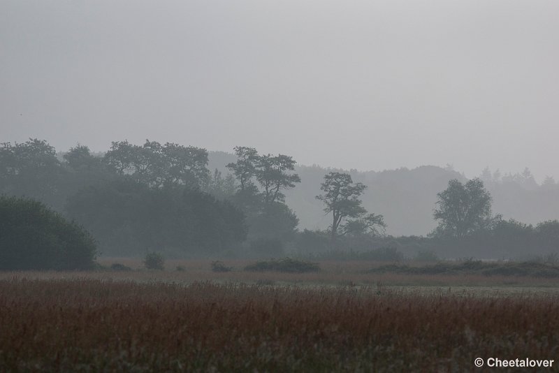 _DSC0048.JPG - 2017-05-25 Huis ter Heide