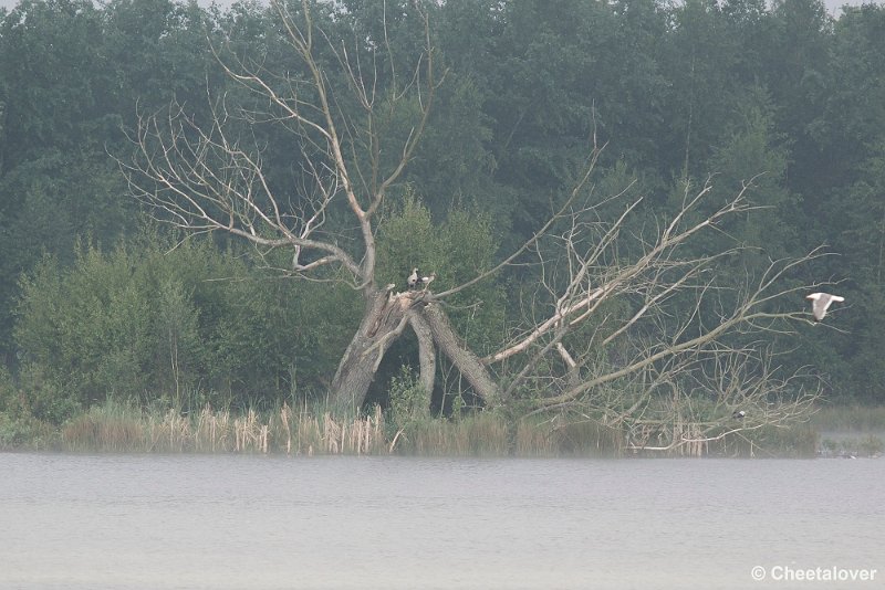 _DSC0076.JPG - 2017-05-25 Huis ter Heide