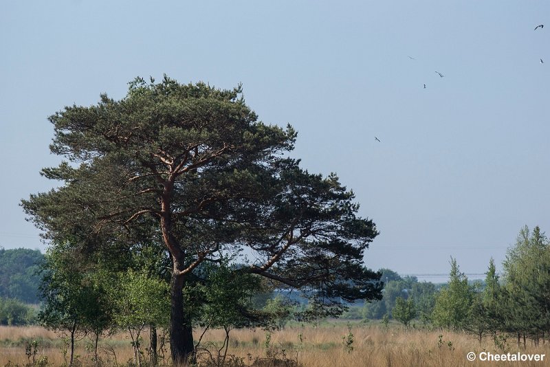 _DSC0302.JPG - 2017-05-25 Huis ter Heide