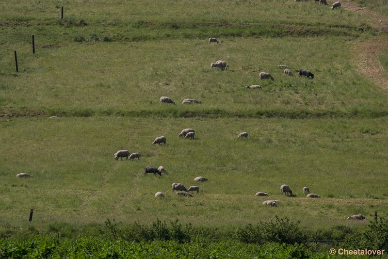 _DSC0423.JPG - 2017-05-25 Huis ter Heide
