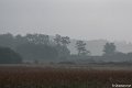 _DSC0048