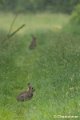 _DSC0060