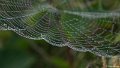 _DSC0168