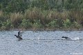 _DSC0172