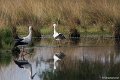 _DSC0191