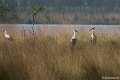 _DSC0198