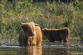 _DSC0280