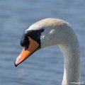 _DSC0403