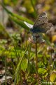 _DSC0421