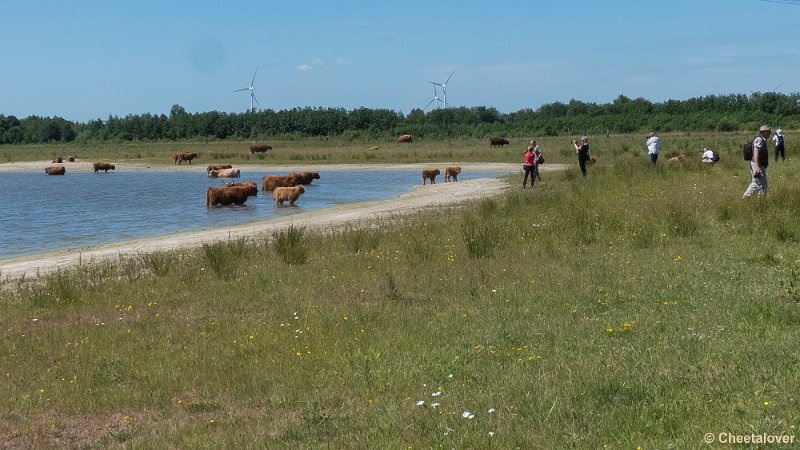 P1340302.JPG - 2017-06-11 Landgoed Huis ter Heide