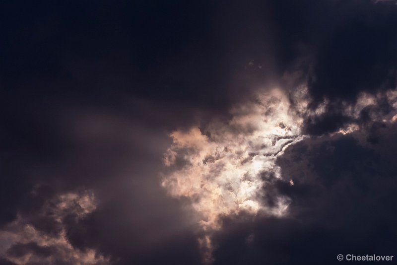 P1340391.JPG - 2017-06-11 Lucht