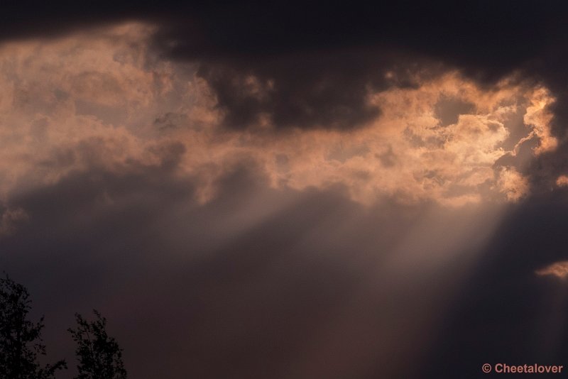 P1340427.JPG - 2017-06-11 Lucht