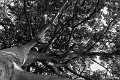 P1360765
