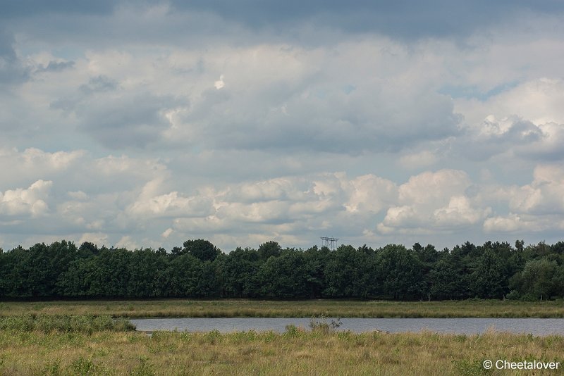 _DSC0031.JPG - Huis ter Heide