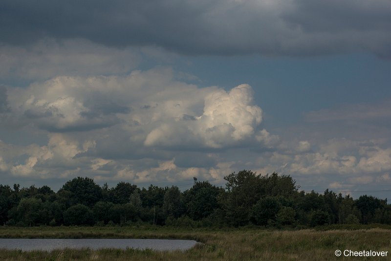 _DSC0035.JPG - Huis ter Heide