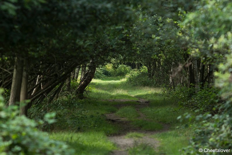 _DSC0088.JPG - Huis ter Heide
