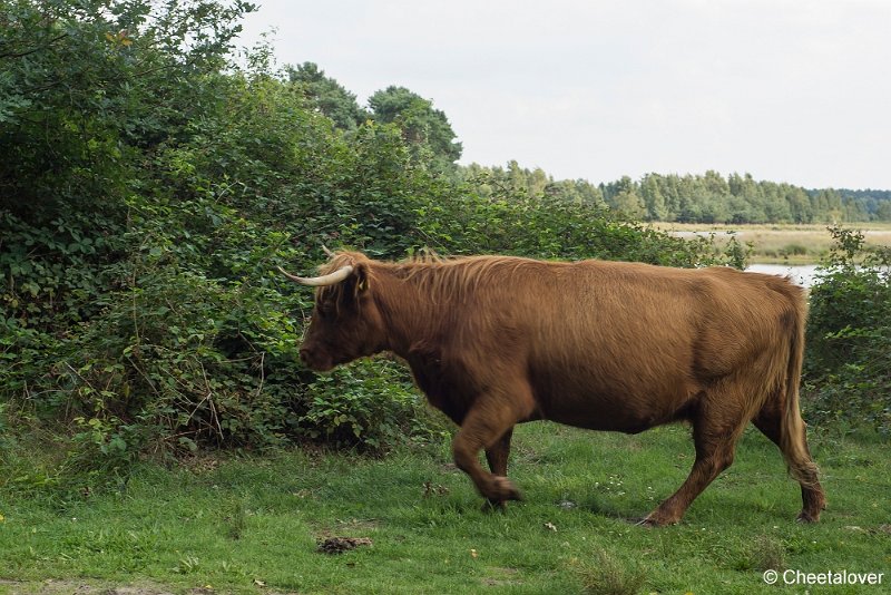 _DSC0096.JPG - Huis ter Heide