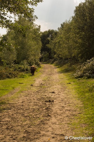 _DSC0105.JPG - Huis ter Heide