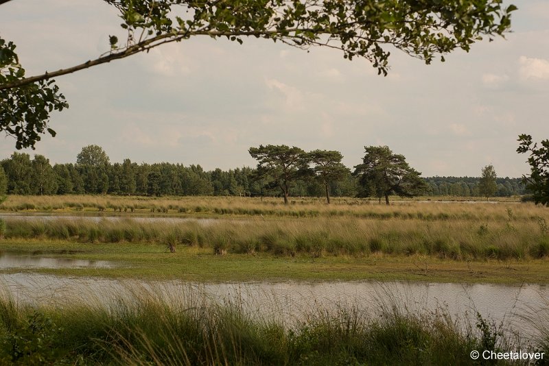 _DSC0109.JPG - Huis ter Heide