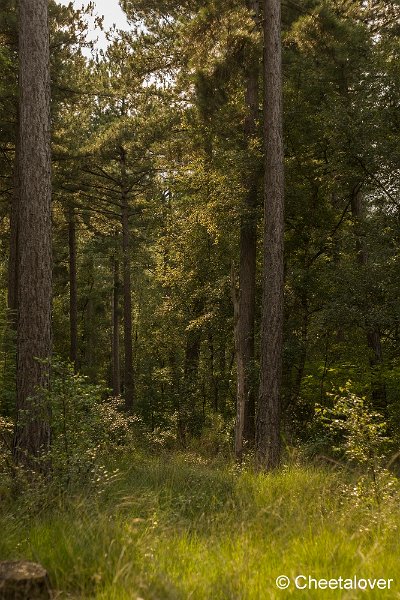 _DSC0141.JPG - Huis ter Heide
