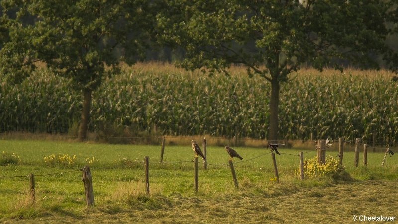 _DSC0169.JPG - Huis ter Heide