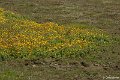 _DSC0020