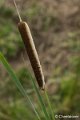 _DSC0038