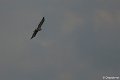 _DSC0040