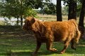 _DSC0097